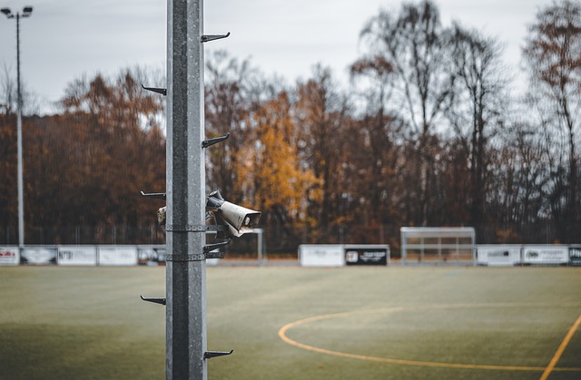 特瓦斯随行西班牙国王访华，向国内推广西甲联赛