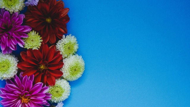 2026世界杯分组抽签结果出炉：强队云集的死亡之组来袭！